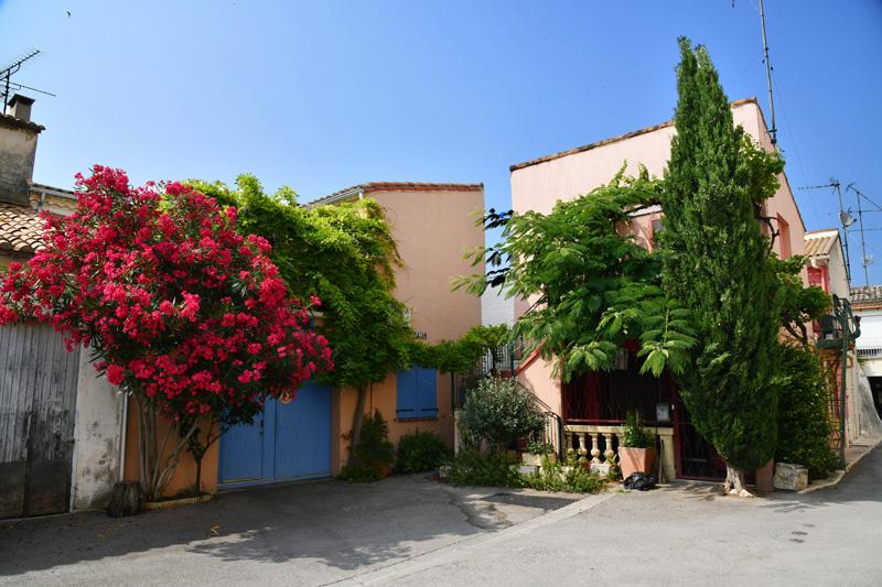 min 2023 06 29 Aigues Mortes 061